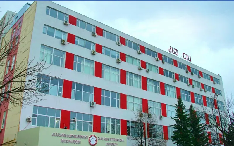 Caucasus's International University 